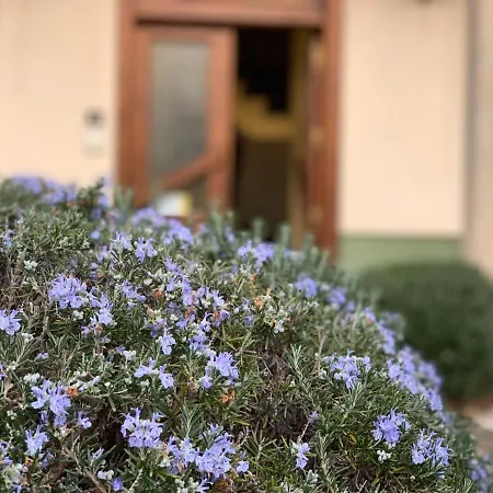 Casa Mar Y Sol * Коркубион