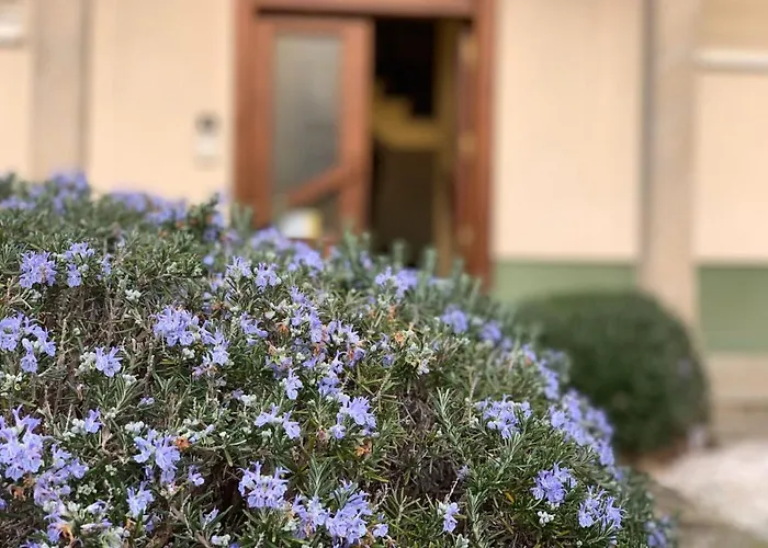 Casa Mar Y Sol * Corcubión